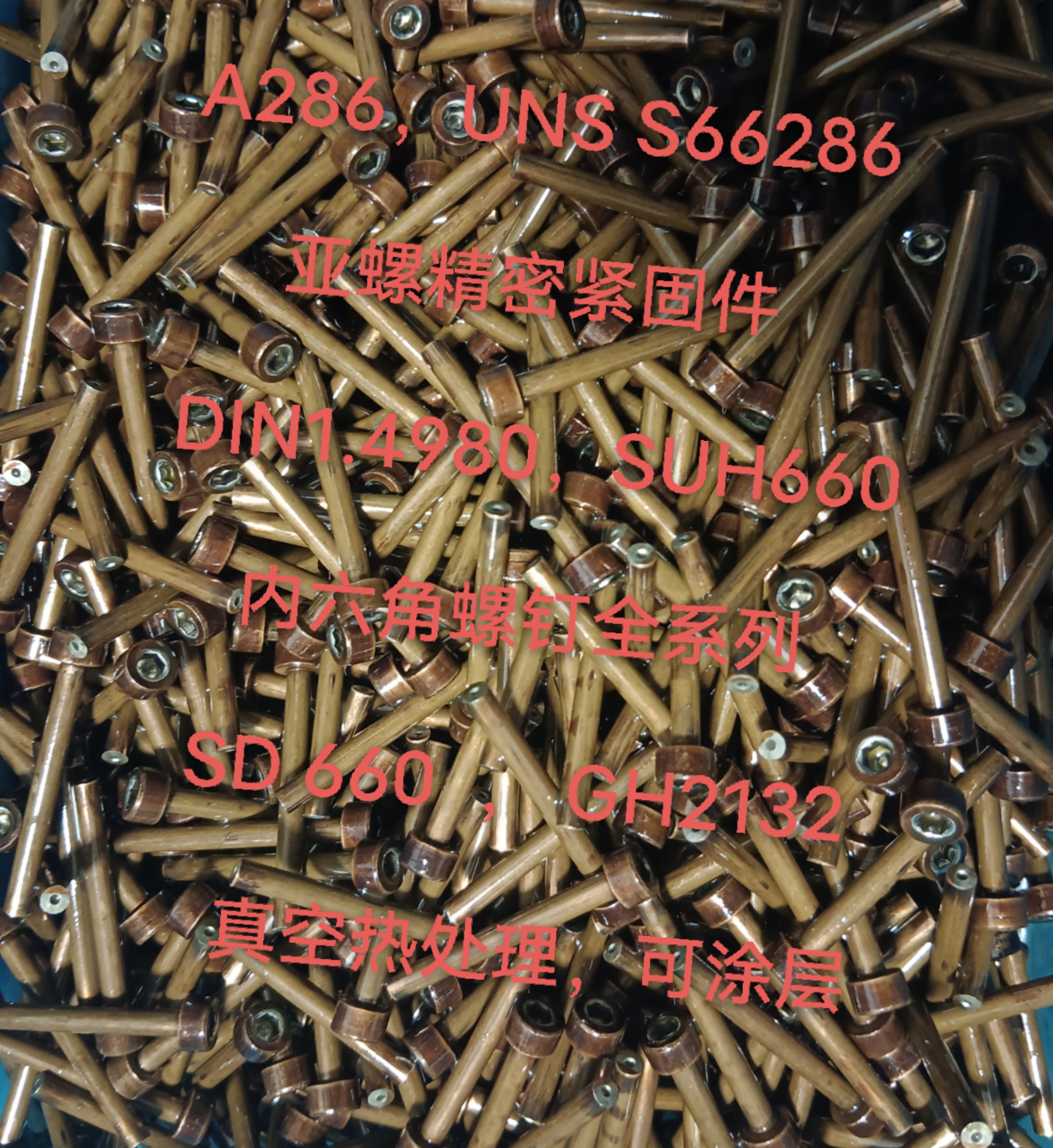 A286内六角螺钉/螺丝